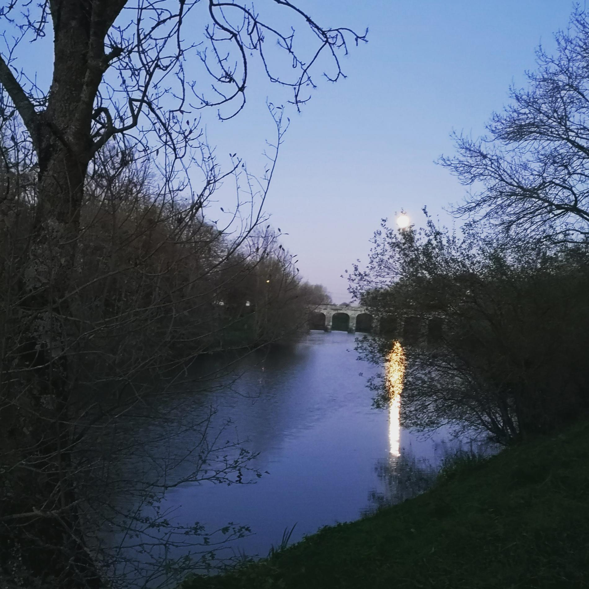 LES BORDS DE L'AUTHION.
