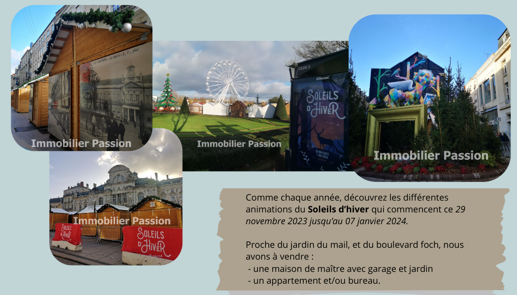 Soleils d'hiver &agrave; Angers