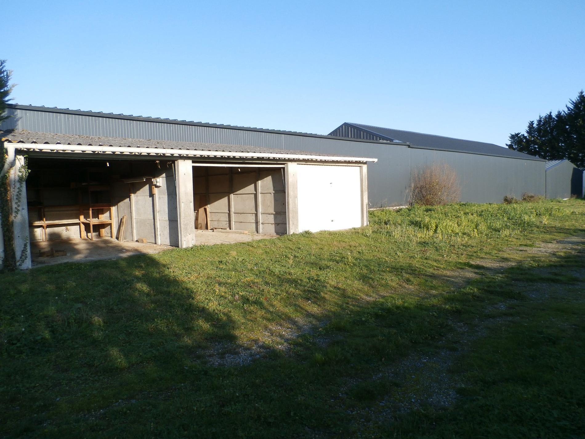 terrain constructible