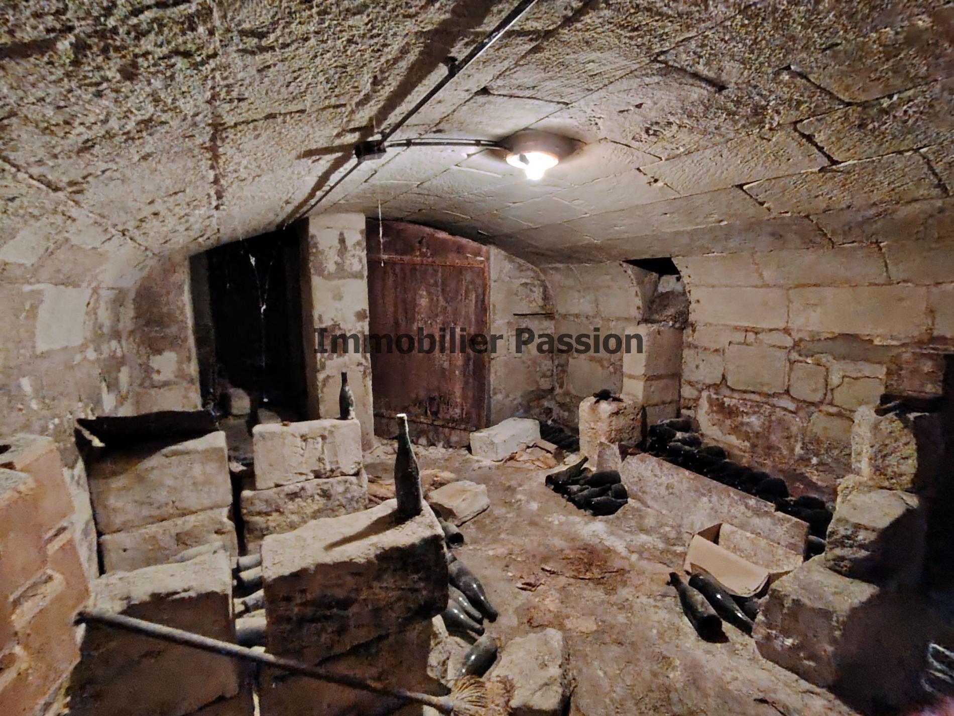 maison 400 m² hab. SAUMUR proche gare