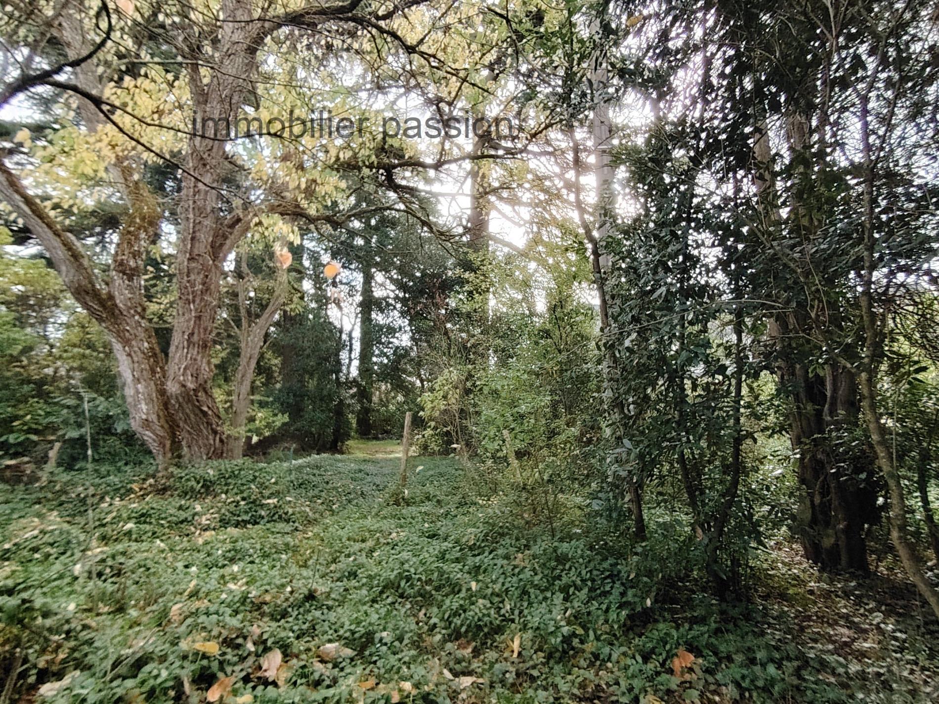 propriété de 511 m² hab- 20 min OUEST ANGERS