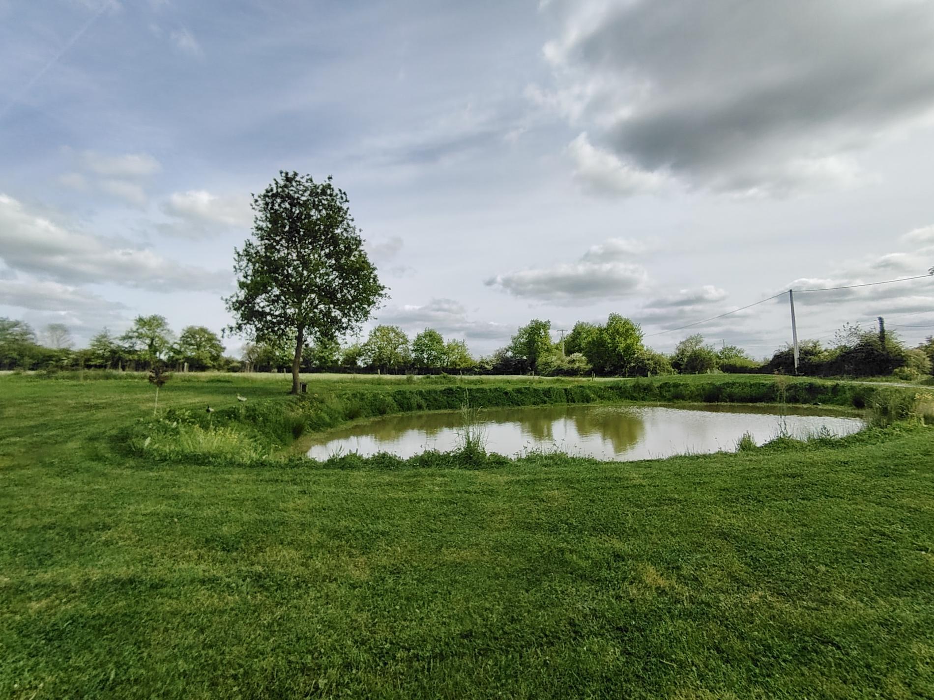 longère rénovée 188 m²-240 m² au sol-ST GEORGES SUR LOIRE