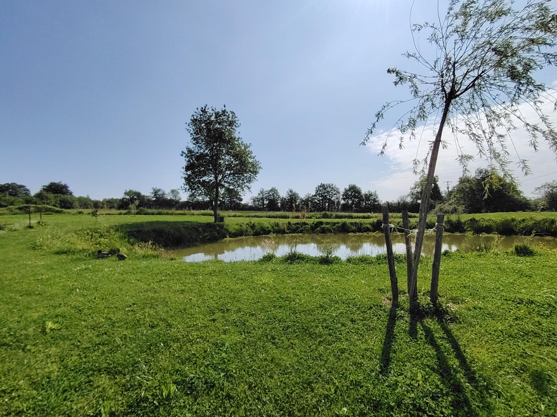longère rénovée 188 m²-240 m² au sol-ST GEORGES SUR LOIRE