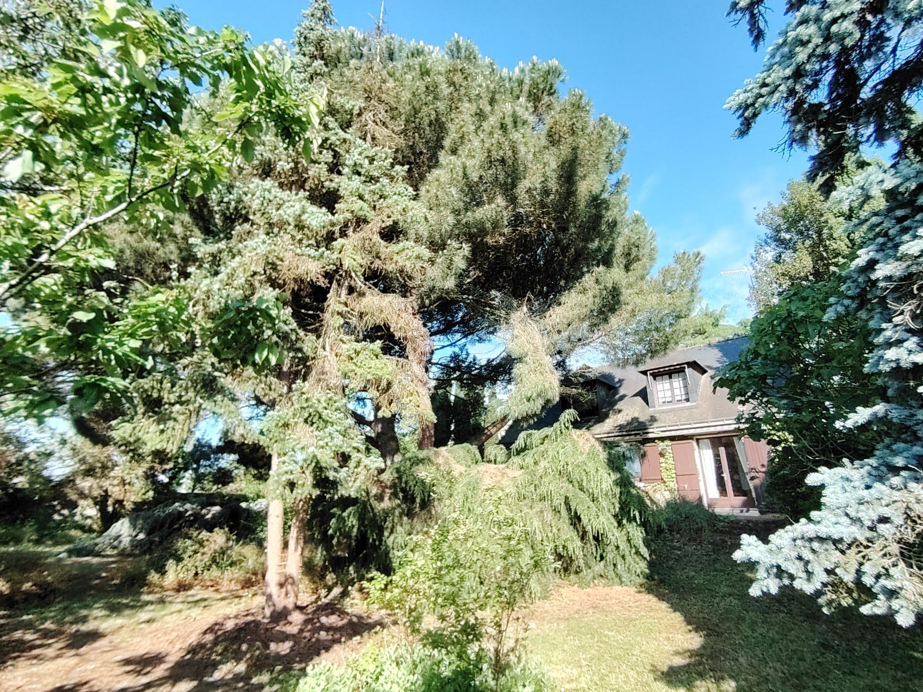 Maison 110 m² hab, jardin 1600 m² ANGERS