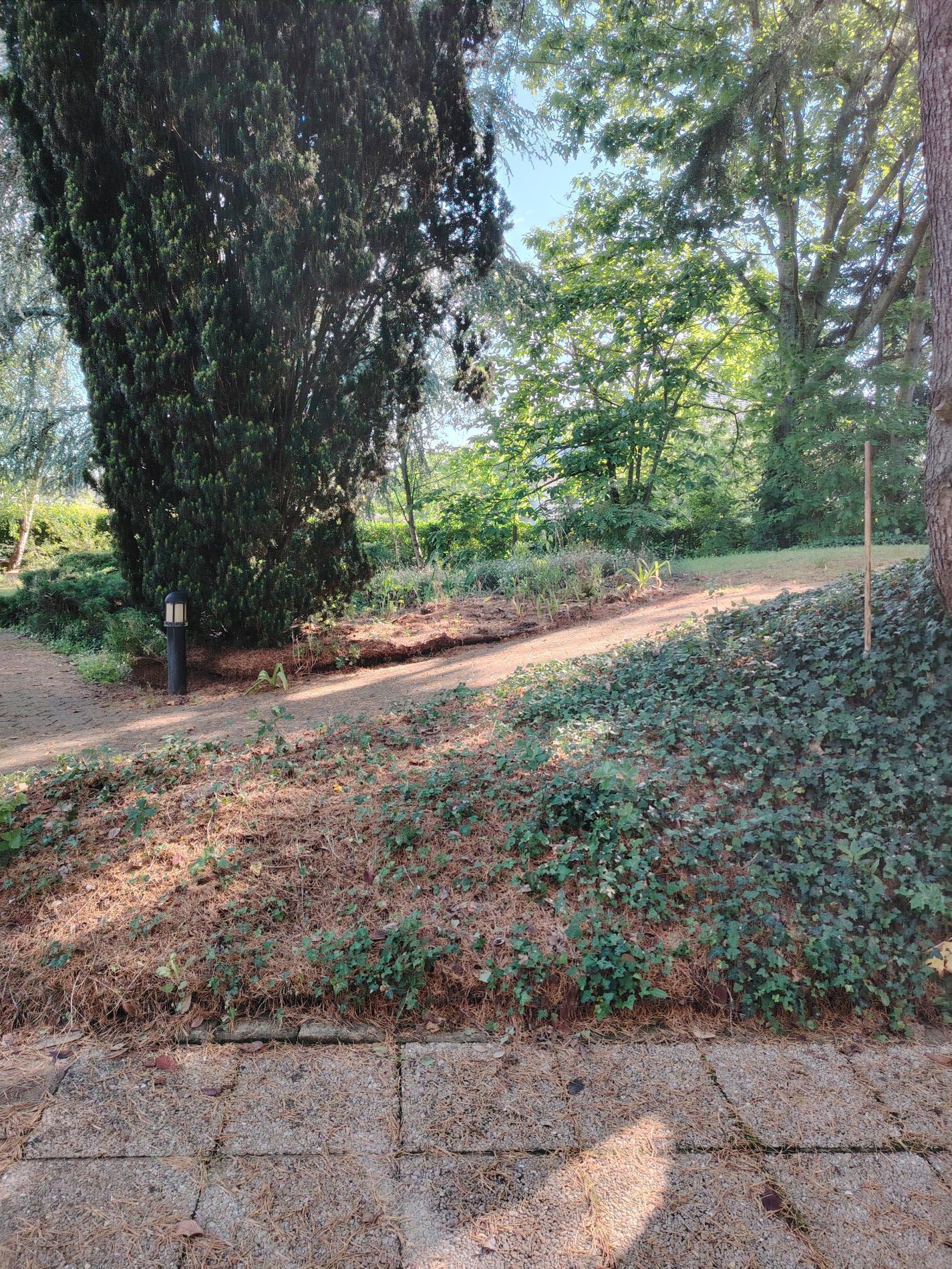 terrain constructible 400 m² ANGERS LYCEE DU FRESNE