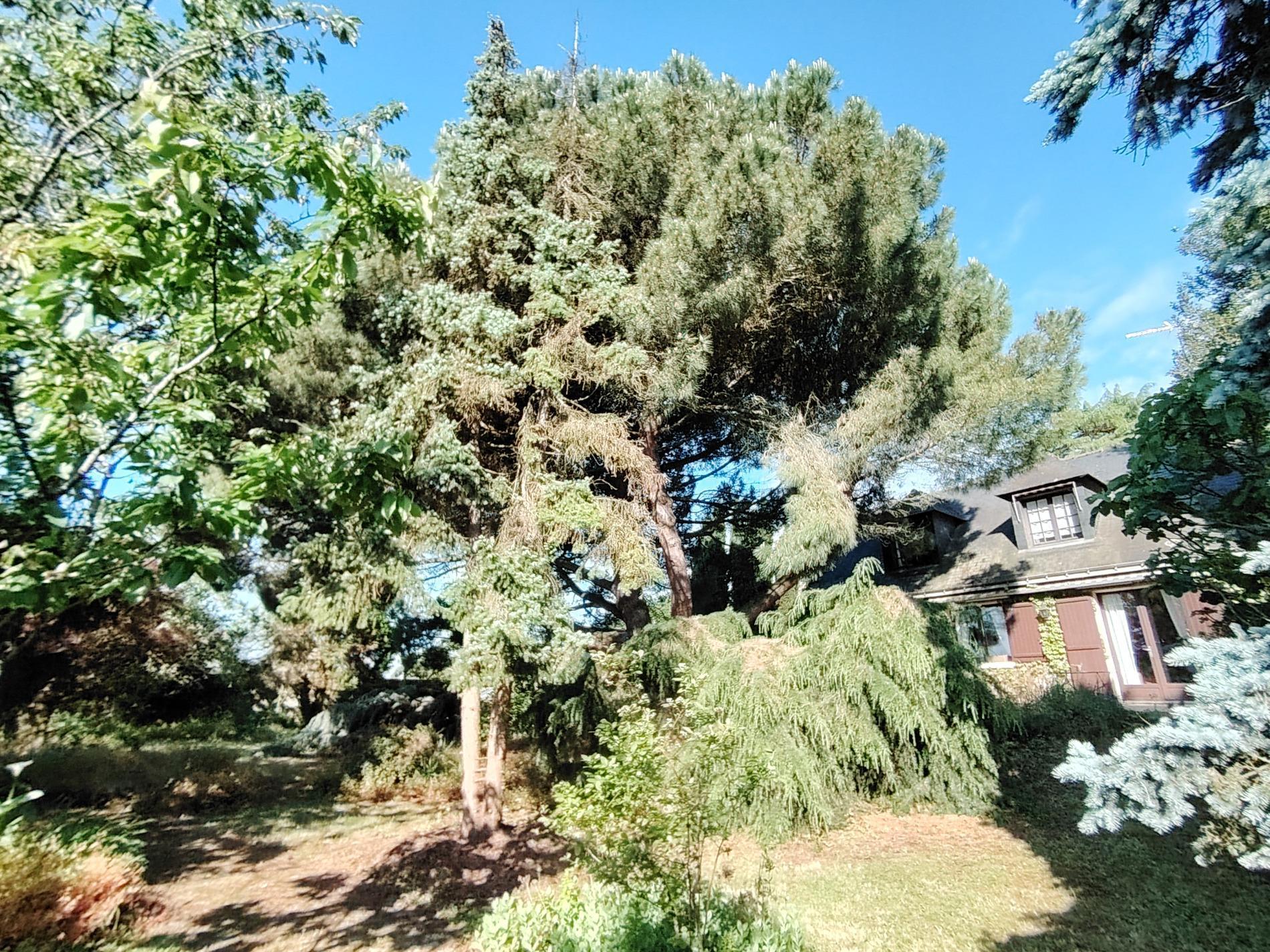maison 123 m² hab. ANGERS